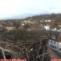 14_55-nest.jpg