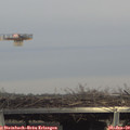 15_00-mast.jpg