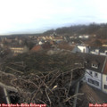 15_00-nest.jpg