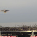 15_05-mast.jpg