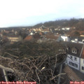 15_05-nest.jpg