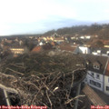 15_10-nest.jpg