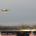 15_15-mast.jpg