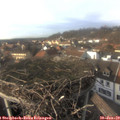 15_15-nest.jpg