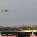 15_20-mast.jpg