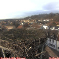15_20-nest.jpg