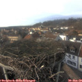 15_25-nest.jpg