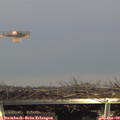 15_30-mast.jpg