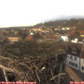 15_30-nest.jpg