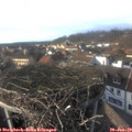 15_35-nest.jpg