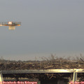 15_40-mast.jpg
