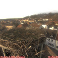 15_40-nest.jpg