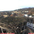 15_45-nest.jpg