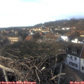 15_50-nest.jpg