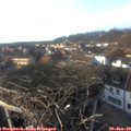 16_00-nest.jpg