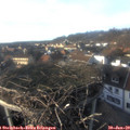 16_05-nest.jpg