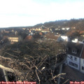 16_10-nest.jpg