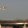 16_15-mast.jpg