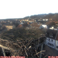16_15-nest.jpg