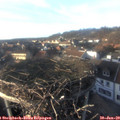16_20-nest.jpg