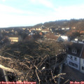 16_25-nest.jpg
