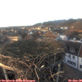 16_35-nest.jpg