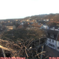 16_40-nest.jpg