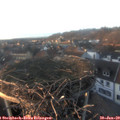16_50-nest.jpg