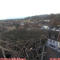 17_00-nest.jpg