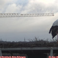 08_15-mast.jpg