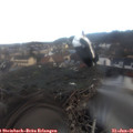 08_35-nest.jpg