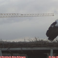 08_40-mast.jpg