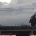08_50-mast.jpg