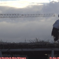 08_55-mast.jpg