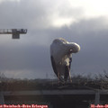 09_50-mast.jpg