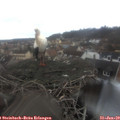 10_05-nest.jpg