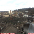 10_15-nest.jpg