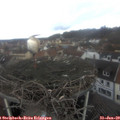 11_45-nest.jpg