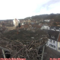 11_55-nest.jpg