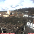 12_00-nest.jpg