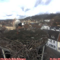 12_05-nest.jpg