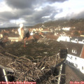12_15-nest.jpg