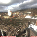 12_25-nest.jpg