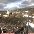 12_30-nest.jpg