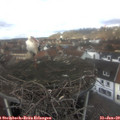 12_35-nest.jpg