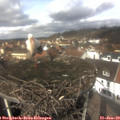 12_45-nest.jpg