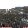 13_00-nest.jpg