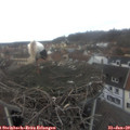 13_05-nest.jpg