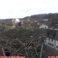 13_10-nest.jpg