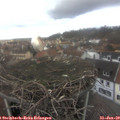 13_25-nest.jpg